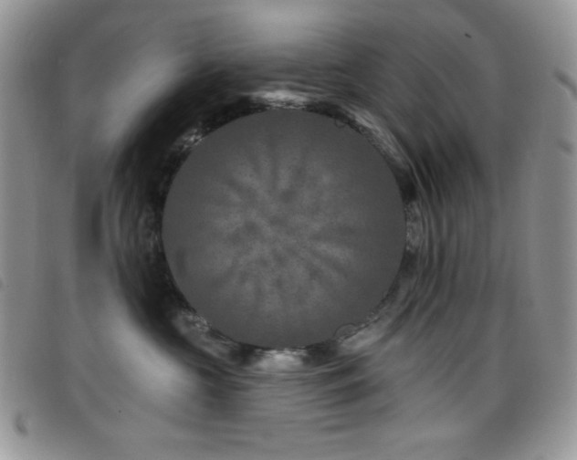 X0000098200573200804241255