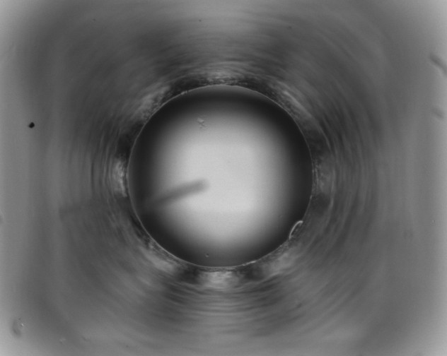 X0000098200575200804241255
