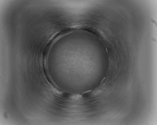 X0000098200576200804241255