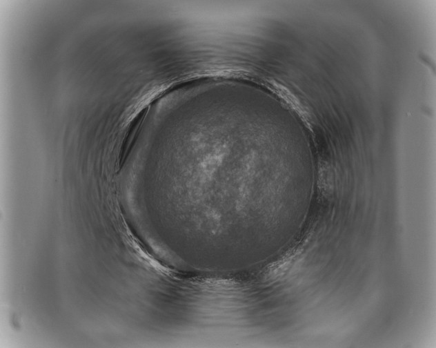X0000098200577200804241255