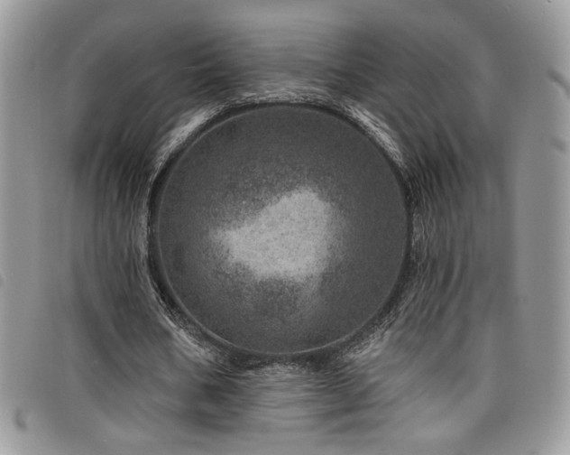 X0000098200578200804241255