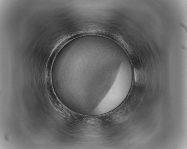 X0000098200579200804241255