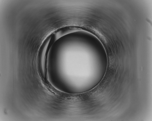 X0000098200580200804241255