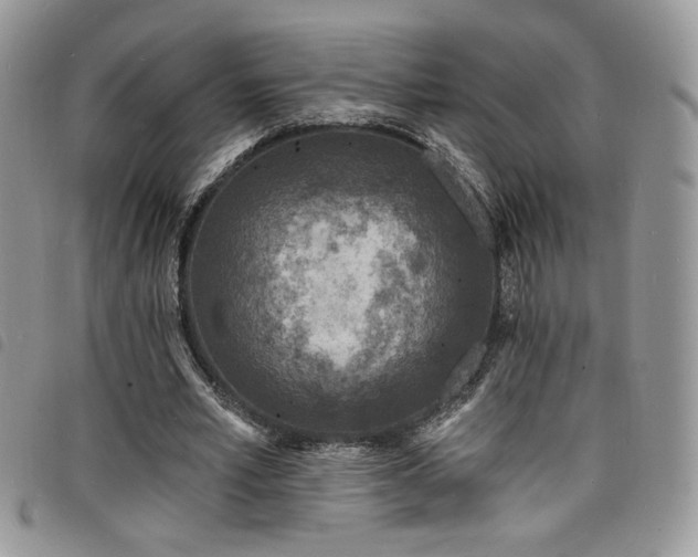 X0000098200581200804241255