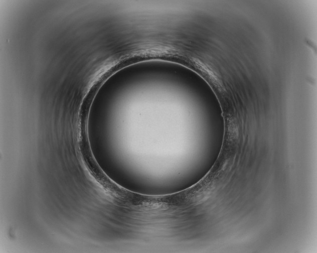 X0000098200582200804241255