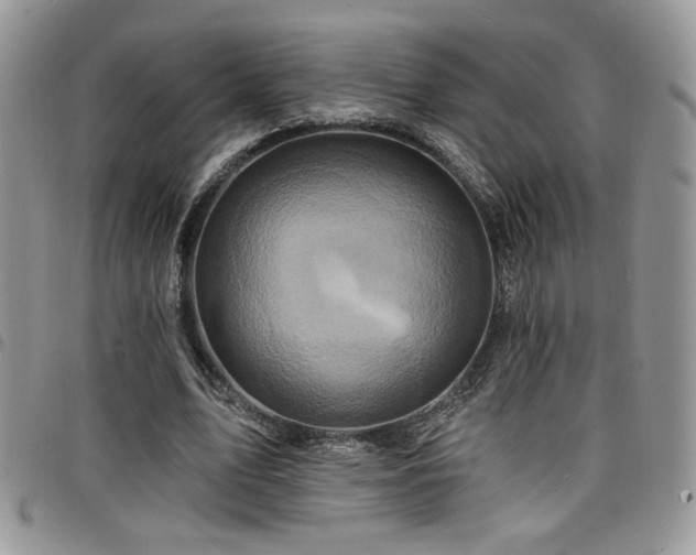 X0000098200583200804241255
