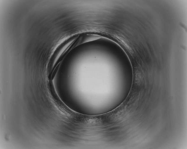X0000098200584200804241255