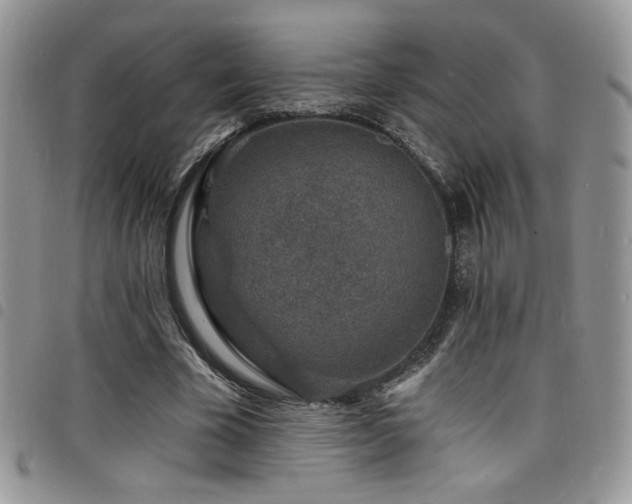 X0000098200585200804241255
