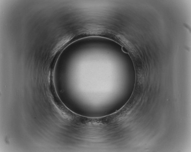 X0000098200586200804241255