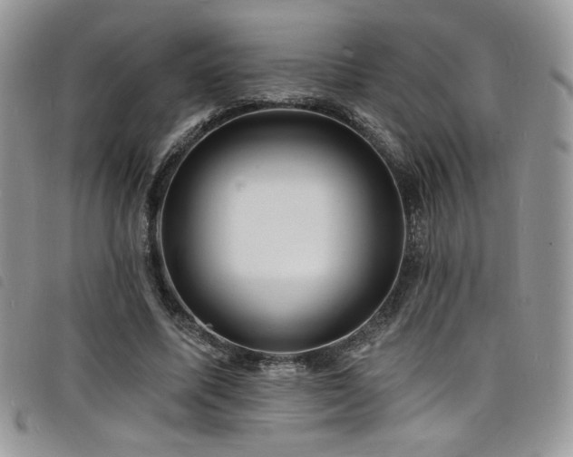 X0000098200587200804241255