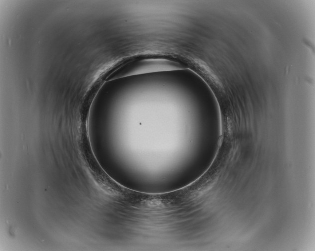 X0000098200588200804241255