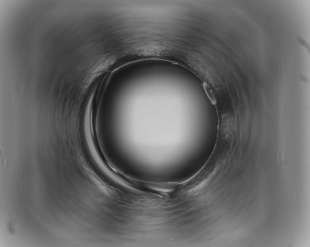 X0000098200589200804241255