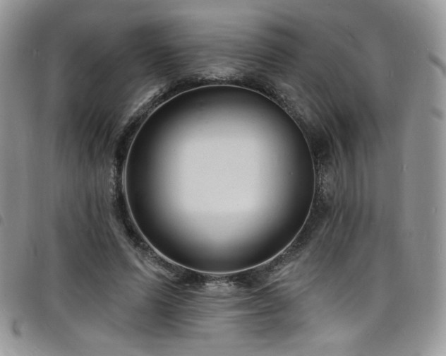 X0000098200591200804241254