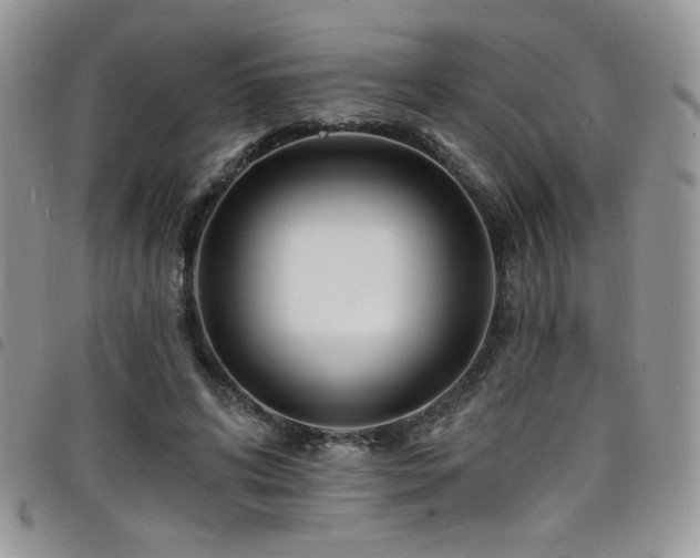 X0000098200592200804241254