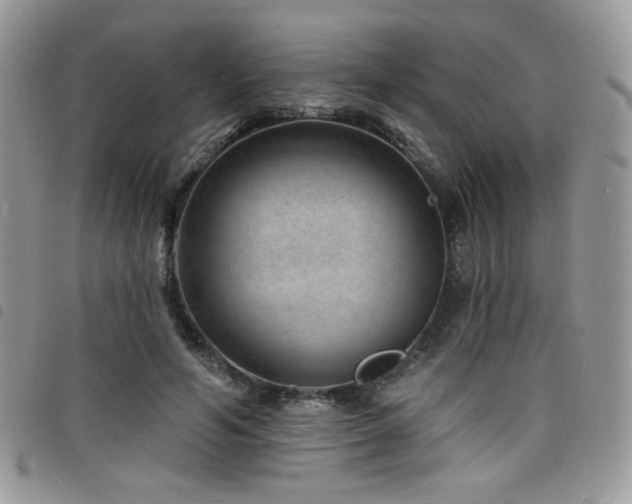 X0000098200594200804241254