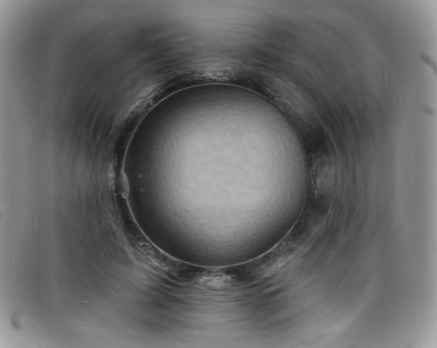 X0000098200595200804241254