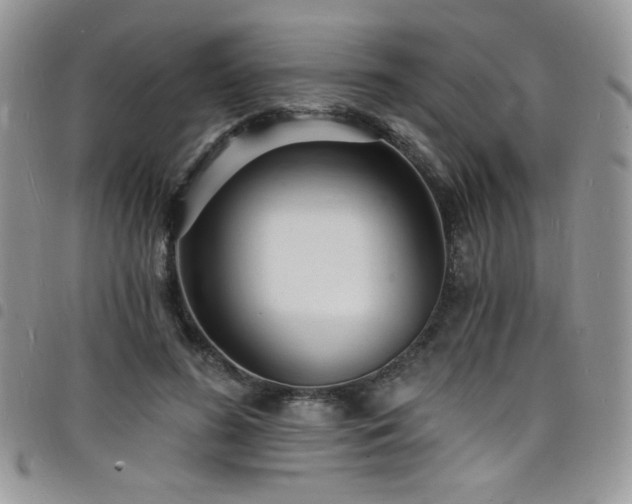 X0000098200596200804241254