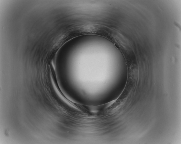 X0000098200597200804241254