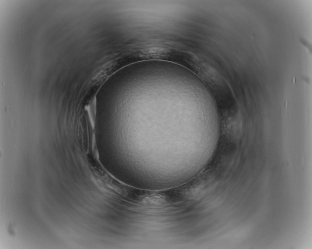 X0000098200599200804241254