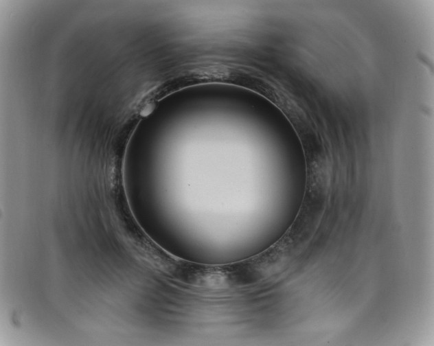 X0000098200600200804241254