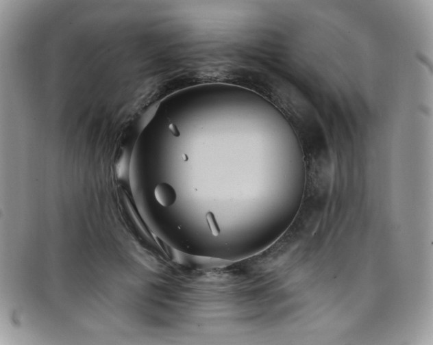 X0000098200601200804241254