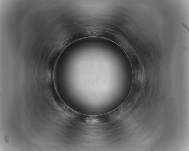 X0000098200602200804241254