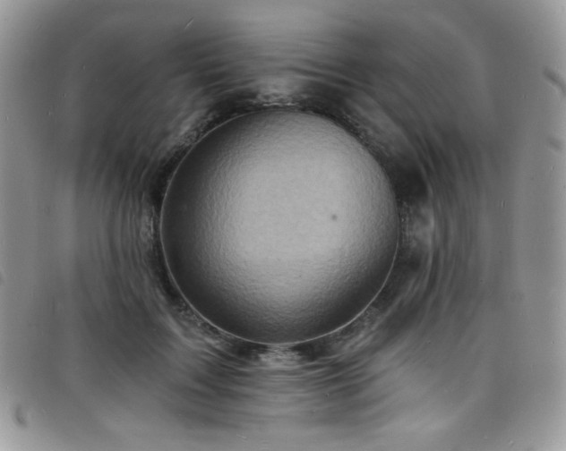 X0000098200603200804241254