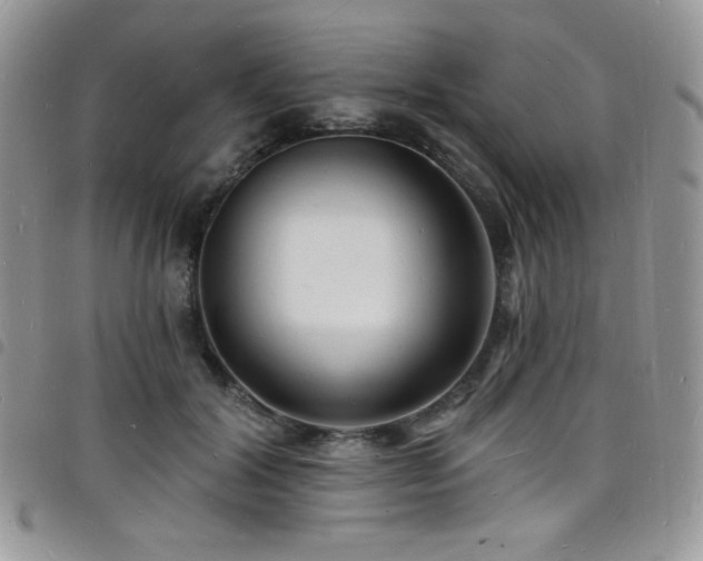 X0000098200604200804241254