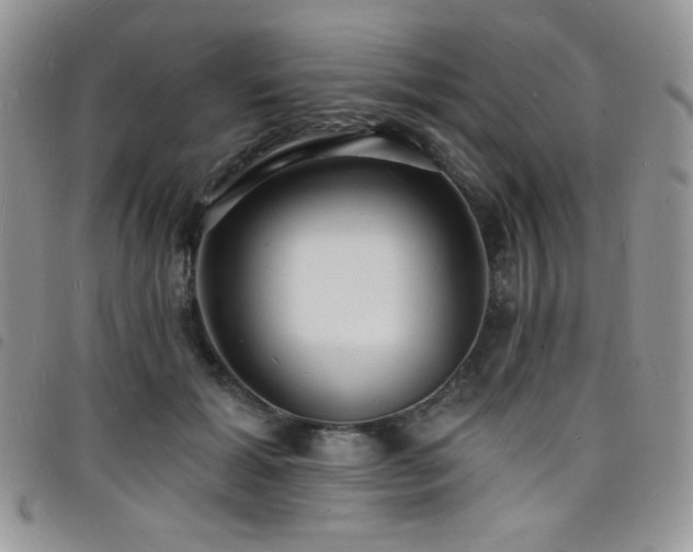 X0000098200605200804241254