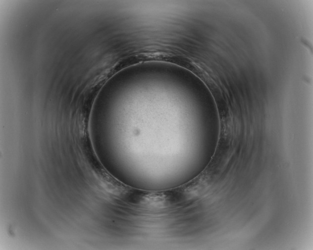 X0000098200606200804241254