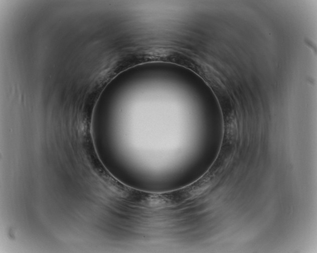 X0000098200608200804241254