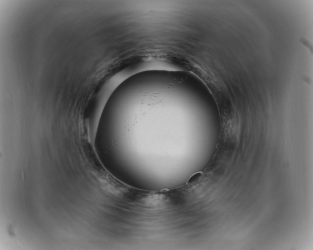 X0000098200609200804241254
