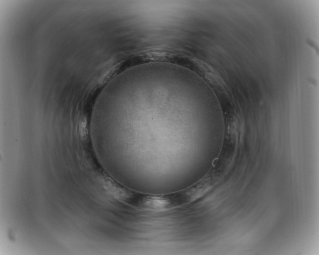 X0000098200610200804241254