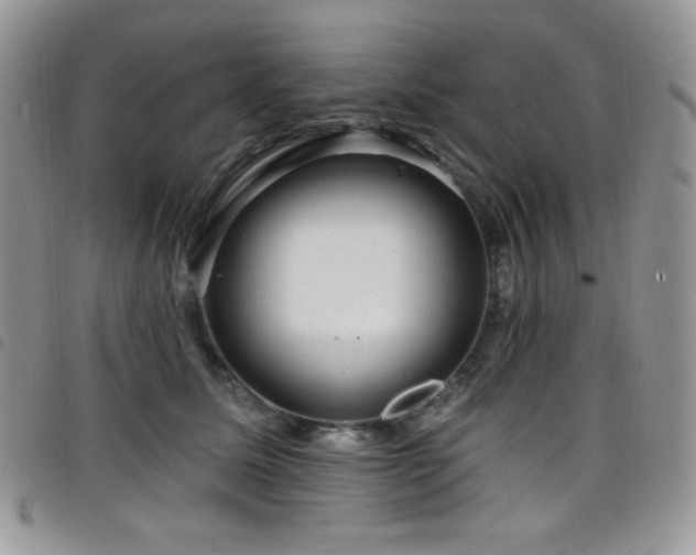 X0000098200611200804241254