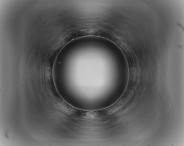 X0000098200612200804241254
