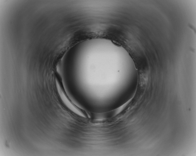 X0000098200613200804241254