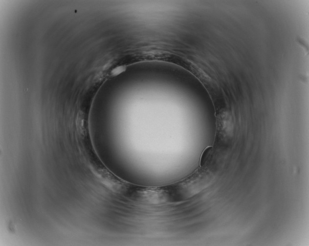 X0000098200615200804241254