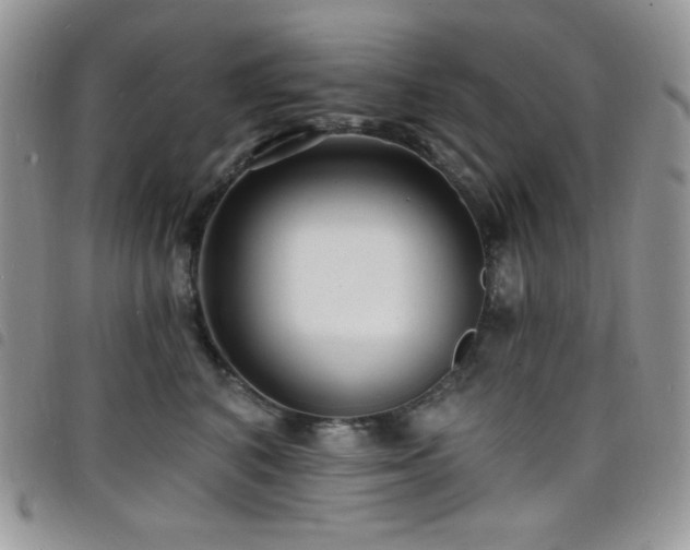 X0000098200616200804241254