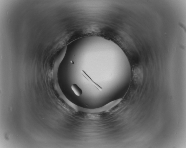 X0000098200617200804241254