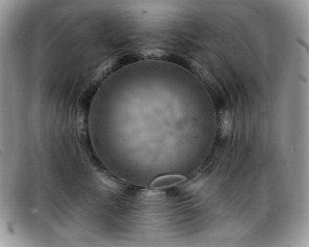 X0000098200619200804241254
