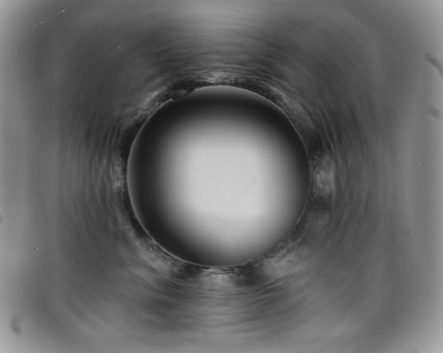 X0000098200620200804241254