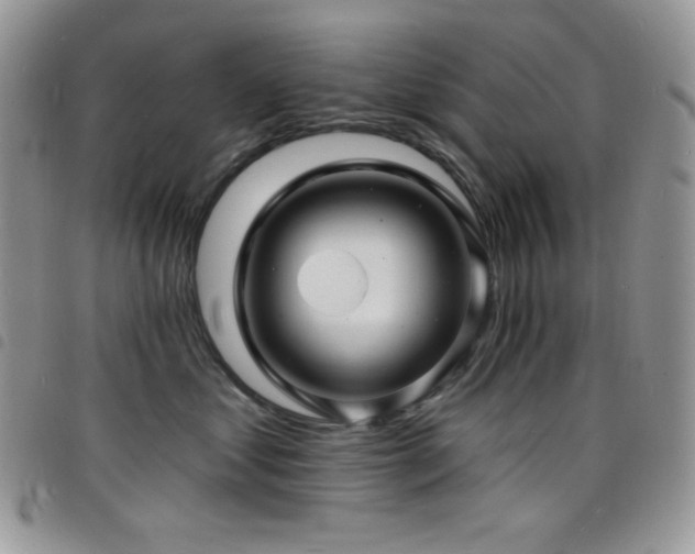 X0000098200621200804241254