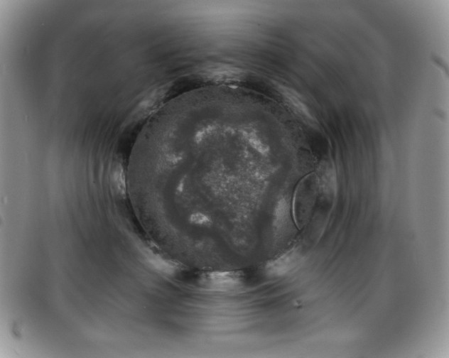 X0000098200622200804241254