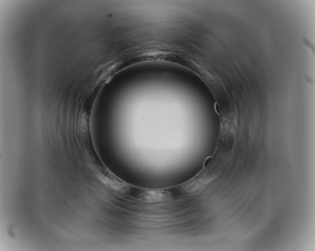 X0000098200623200804241254