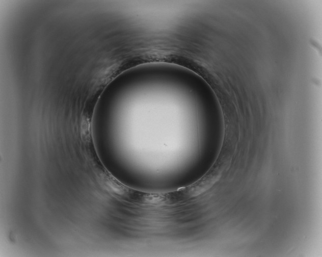 X0000098200624200804241254