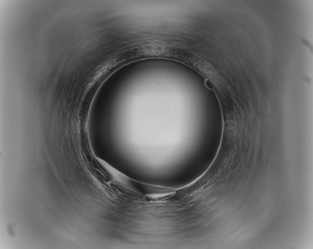 X0000098200626200804241253