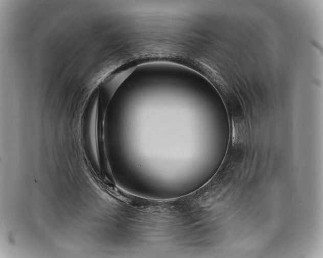 X0000098200627200804241253