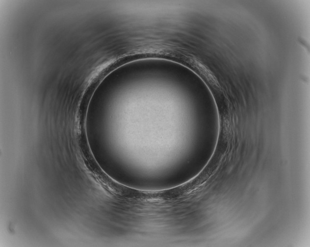 X0000098200628200804241253