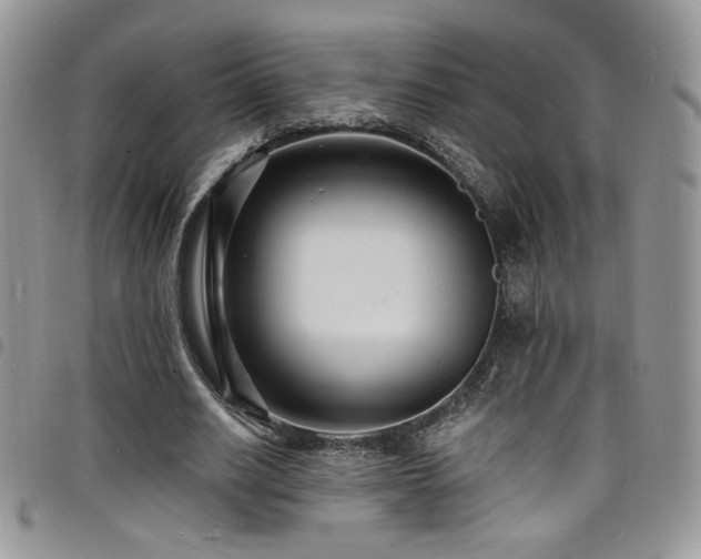 X0000098200630200804241253