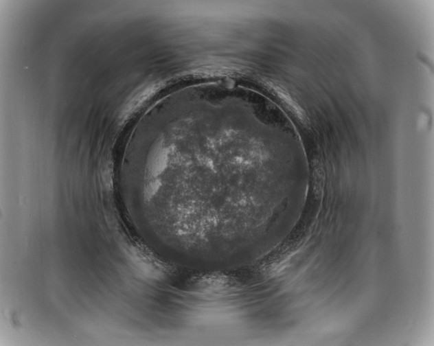 X0000098200631200804241253